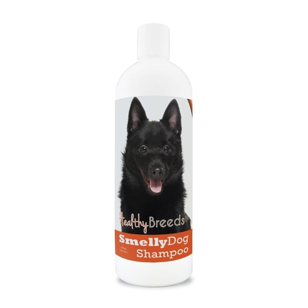Pamperedpets Schipperke Smelly Dog Baking Soda Shampoo PA3500863 - main